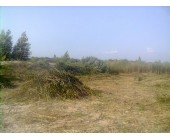 Покос травы